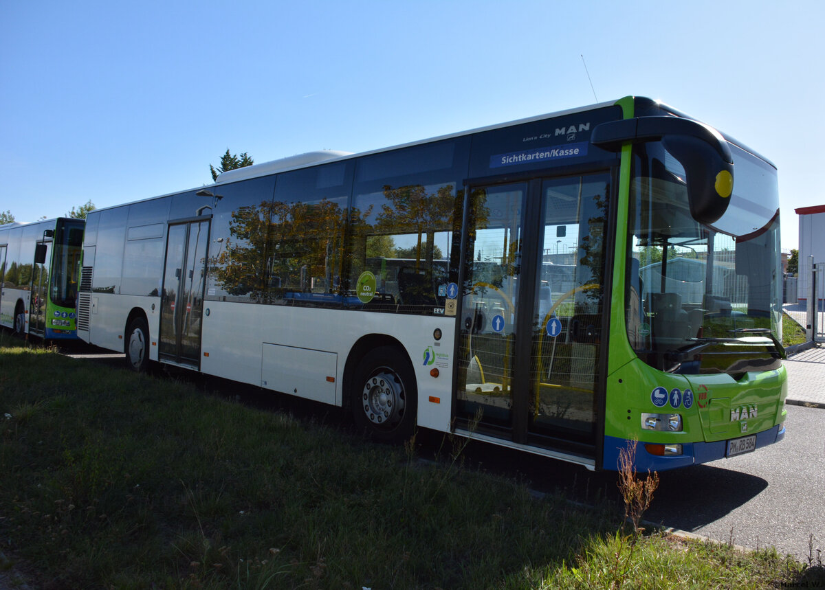 21.09.2019 | Stahnsdorf | Regiobus PM | PM-RB 584 | MAN Lion's City |