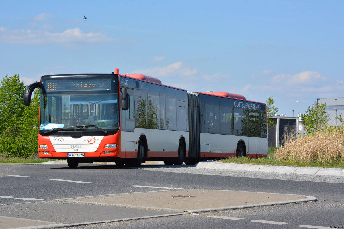 28.04.2018 | Brandenburg - Schönefeld (ILA) | MAN Lion's City G | Cottbusverkehr | CB-CV 275 |