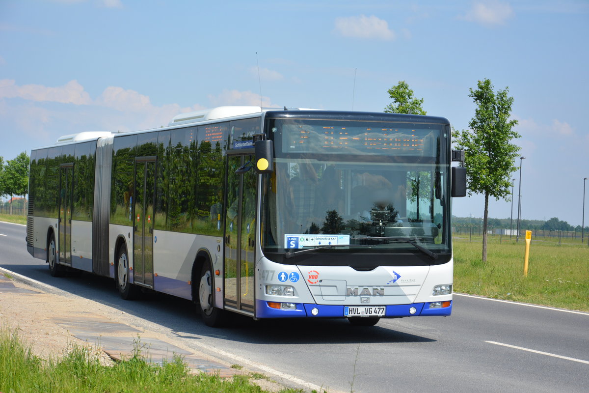 Am 04.06.2016 fährt HVL-VG 477 für die ILA 2016 auf der Shuttle Linie  S . Aufgenommen wurde ein MAN Lion's City Gelenkbus der Havelbus.
