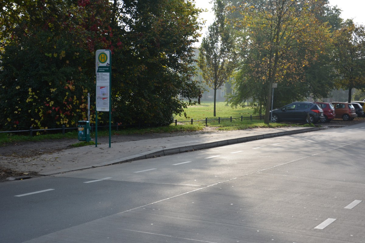 Bushaltestelle Potsdam Campus Universitt/Lindenallee, Aufgenommen am 18.10.2014.
