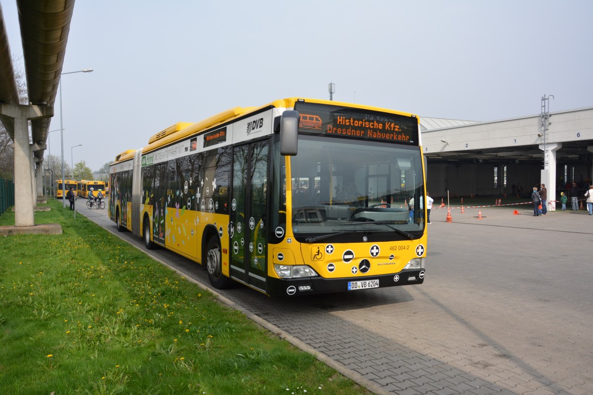 DD-VB 6204 (462 004-2) (MB Citaro Hybrid) in Dresden Gruna am 06.04.2014.