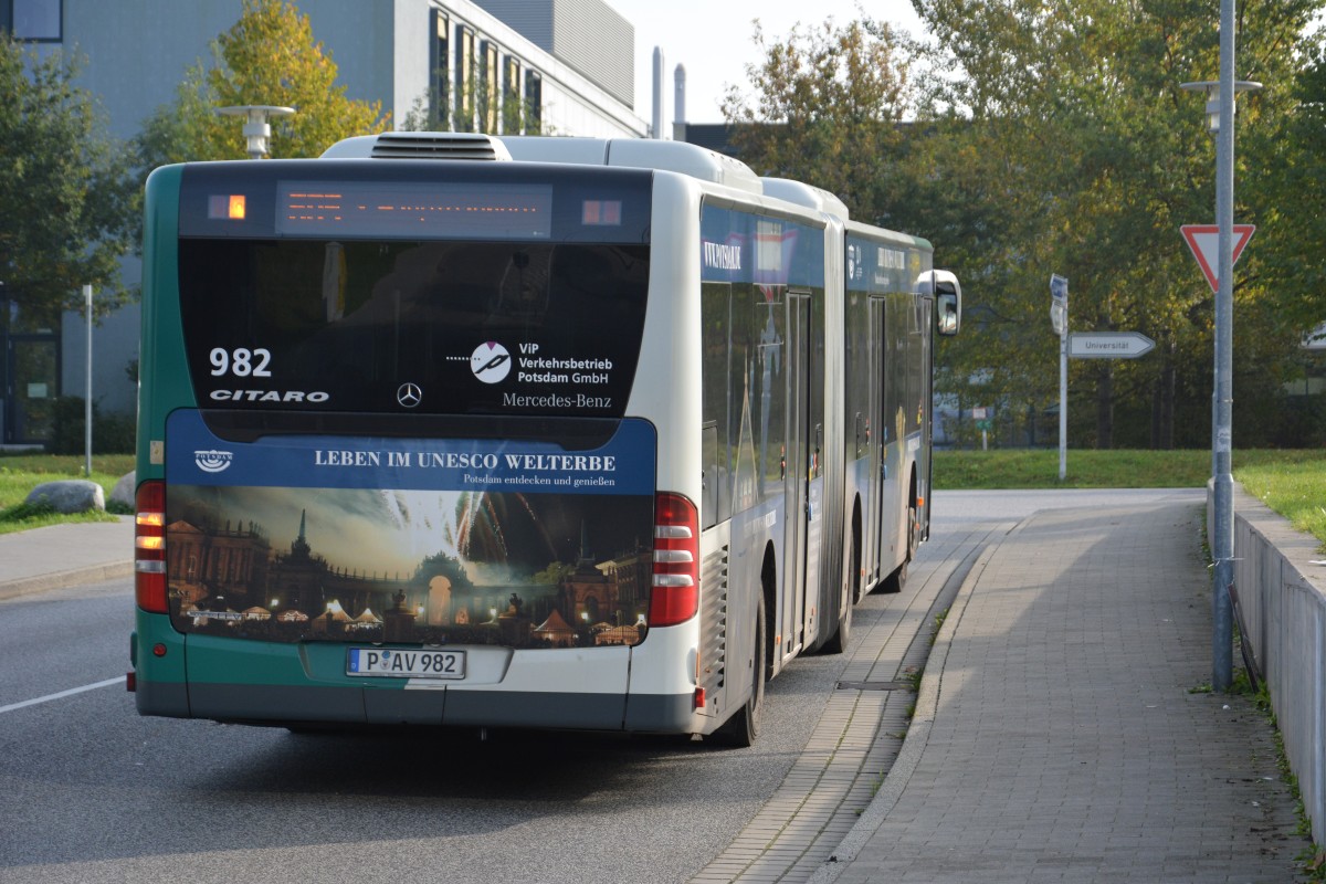 P-AV 982 auf der Linie 605 am 18.10.2014. Aufgenommen wurde Mercedes Benz O530 Facelift in Potsdam Golm.