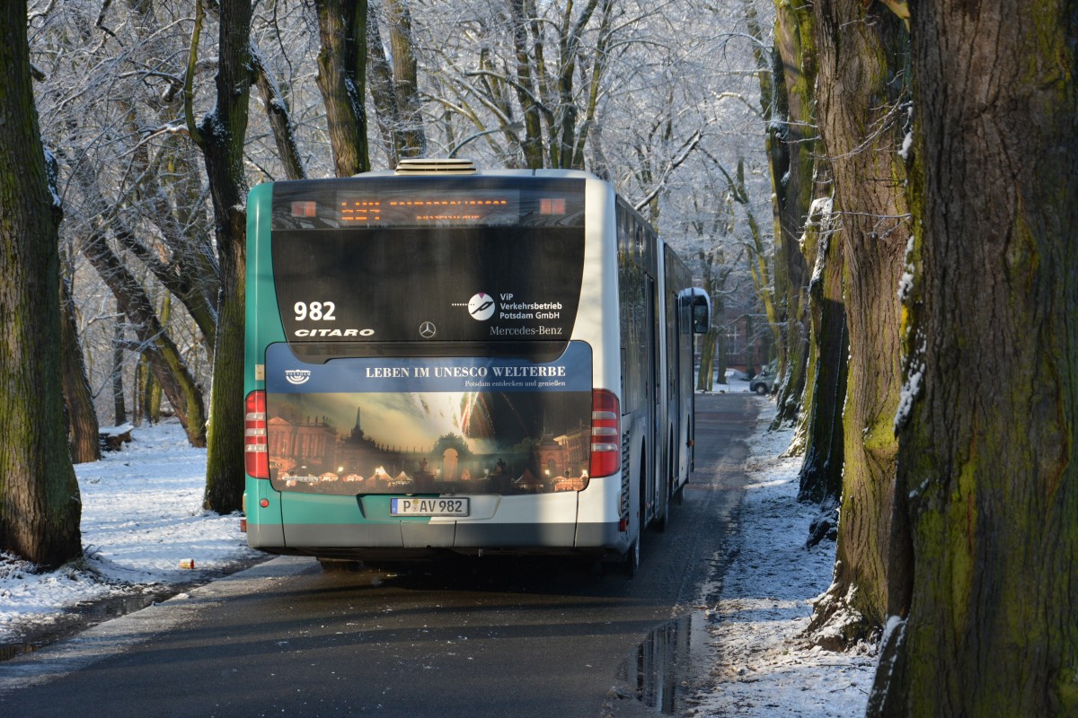 P-AV 982 fährt am 31.01.2015 auf der Linie 694 zur Küsselstraße. Aufgenommen wurde ein Mercedes Benz Citaro Facelift Gelenkbus, Hermannswerder/Potsdam. 