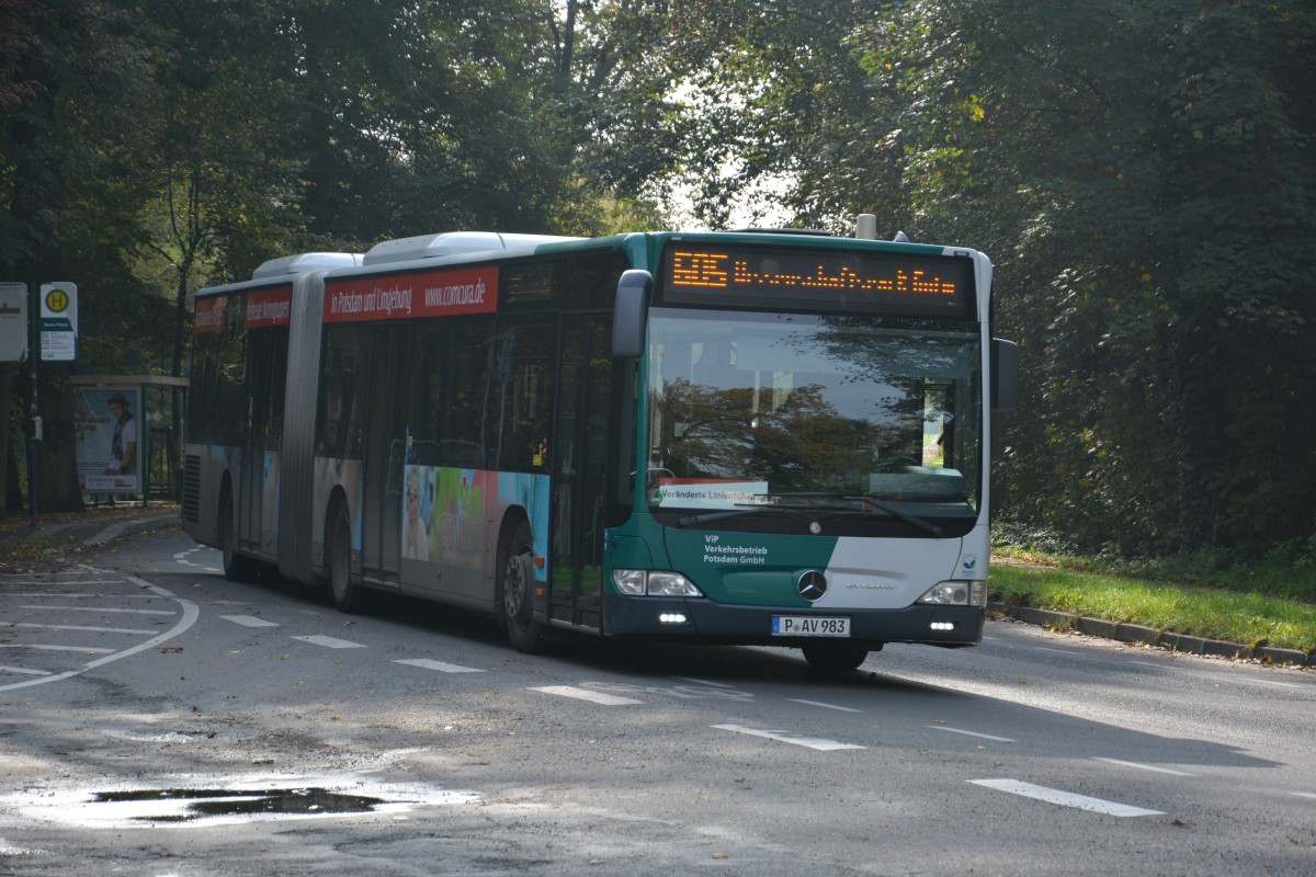 P-AV 983 fhrt am 18.10.2014 auf der Linie 605 nach Potsdam Golm. Aufgenommen wurde Mercedes Benz O530, Potsdam Neues Palais.