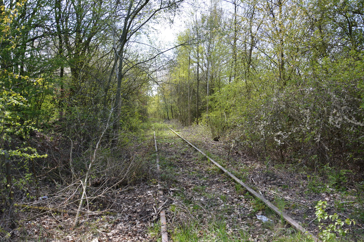 Stillgelegte Strecke am  Bahnhof Frielendorf. Aufgenommen am 22.04.2016.