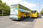 traditionsbus-gmbh/515189/50-jahre-busse-auf-der-kantstrasse '50 Jahre Busse auf der Kantstraße', so hieß es zur Traditionsfahrt 2016. Auch mit dabei B-W 3045, MAN DN 95 (ND202). Aufgenommen an der Haltestelle, Flatowallee/Olympiastadion.
