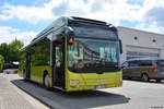 verkehrsgesellschaft-teltow-flaeming-vtf/622861/am-17062017-steht-tf-vg-240-auf Am 17.06.2017 steht TF-VG 240 auf dem Betriebshof in Luckenwalde zur Feier '25 Jahre VTF'. Aufgenommen wurde ein MAN Lion's City Hybrid Solobus. 