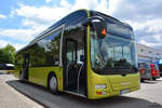 verkehrsgesellschaft-teltow-flaeming-vtf/622869/am-17062017-steht-tf-vg-240-auf Am 17.06.2017 steht TF-VG 240 auf dem Betriebshof in Luckenwalde zur Feier '25 Jahre VTF'. Aufgenommen wurde ein MAN Lion's City Hybrid Solobus. 