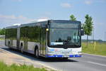 havelbus-verkehrsgesellschaft-hvg/564975/am-04062016-faehrt-hvl-vg-477-fuer Am 04.06.2016 fährt HVL-VG 477 für die ILA 2016 auf der Shuttle Linie 'S'. Aufgenommen wurde ein MAN Lion's City Gelenkbus der Havelbus.
