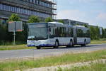 havelbus-verkehrsgesellschaft-hvg/615952/am-04062016-faehrt-hvl-vg-438-fuer Am 04.06.2016 fährt HVL-VG 438 für die ILA 2016 auf der Shuttle Linie 'S'. Aufgenommen wurde ein MAN Lion's City Gelenkbus der Havelbus.