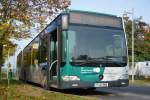 verkehrsbetrieb-in-potsdam-vip/396591/p-av-982-auf-der-linie-605 P-AV 982 auf der Linie 605 am 18.10.2014. Aufgenommen wurde Mercedes Benz O530 Facelift in Potsdam Golm.