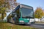 verkehrsbetrieb-in-potsdam-vip/396597/p-av-982-auf-der-linie-605 P-AV 982 auf der Linie 605 am 18.10.2014. Aufgenommen wurde Mercedes Benz O530 Facelift in Potsdam Golm.