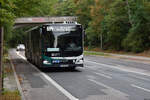 verkehrsbetrieb-in-potsdam-vip/917865/05092020--brandenburg---potsdam- 05.09.2020 | Brandenburg - Potsdam | P-AV 945 | MAN New Lion's City G | 