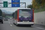 lions-city-gelenkbus/478175/am-14102015-faehrt-sg-198278-auf-der Am 14.10.2015 fährt SG-198278 auf der Linie P+R nach Breitfeld. Aufgenommen wurde ein MAN Lion's City G / Autobahn A1 Sankt Gallen. 