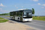 lions-city-solobus/577432/b-bn-701-faehrt-am-04062016-fuer B-BN 701 fährt am 04.06.2016 für die ILA auf der Shuttle-Linie 'R'. Aufgenommen wurde ein MAN Lion's City Low Entry. 