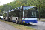 2-generation-niederflur-gelenkbus/778767/15092019--berlin-wannsee--miabus 15.09.2019 | Berlin Wannsee | Miabus | H-MV 3803 | MAN Niederflurbus 2. Generation |