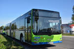 lions-city-gelenkbus/778888/21092019--stahnsdorf--regiobus-pm 21.09.2019 | Stahnsdorf | Regiobus PM | PM-RB 577 | MAN Lion's City G |