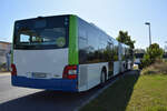 lions-city-gelenkbus/778889/21092019--stahnsdorf--regiobus-pm 21.09.2019 | Stahnsdorf | Regiobus PM | PM-RB 575 | MAN Lion's City G |