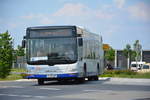 lions-city-solobus/608738/am-04062016-faehrt-p-av-587-auf Am 04.06.2016 fährt P-AV 587 auf der ILA-Sonderlinie L zwischen S-Bahnhof Schichauweg und dem ILA-Gelände. Aufgenommen wurde ein MAN Lion's City der BVSG.