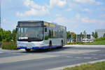lions-city-solobus/608740/am-04062016-faehrt-p-av-587-auf Am 04.06.2016 fährt P-AV 587 auf der ILA-Sonderlinie L zwischen S-Bahnhof Schichauweg und dem ILA-Gelände. Aufgenommen wurde ein MAN Lion's City der BVSG.