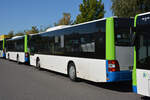 lions-city-solobus/778902/21092019--stahnsdorf--regiobus-pm 21.09.2019 | Stahnsdorf | Regiobus PM | PM-RB 584 | MAN Lion's City |