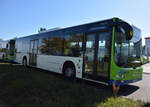 lions-city-solobus/778917/21092019--stahnsdorf--regiobus-pm 21.09.2019 | Stahnsdorf | Regiobus PM | PM-RB 584 | MAN Lion's City |