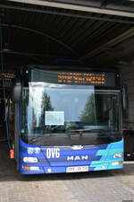 lions-city-solobus/782082/28092019--oranienburg--ovg- 28.09.2019 | Oranienburg | OVG | OHV-VK 150 | MAN Lion's City | 