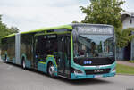 new-lions-city-gelenkbus-11/778667/31072019--oranienburg--roadshow-new 31.07.2019 | Oranienburg | Roadshow New Lion's City | M-AN 1823 | New Lion's City G | 