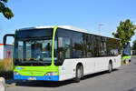 o-530-citaro-i-facelift/778896/21092019--stahnsdorf--regiobus-pm 21.09.2019 | Stahnsdorf | Regiobus PM | PM-RB 528 | Mercedes Benz Citaro I Facelift |