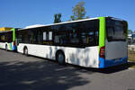o-530-citaro-i-facelift/778907/21092019--stahnsdorf--regiobus-pm 21.09.2019 | Stahnsdorf | Regiobus PM | PM-RB 613 | Mercedes Benz Citaro I Facelift |