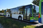 o-530-citaro-i-facelift/778911/21092019--stahnsdorf--regiobus-pm 21.09.2019 | Stahnsdorf | Regiobus PM | PM-RB 613 | Mercedes Benz Citaro I Facelift |
