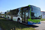 o-530-citaro-ii/778915/21092019--stahnsdorf--regiobus-pm 21.09.2019 | Stahnsdorf | Regiobus PM | PM-RB 564 | Mercedes Benz Citaro II |