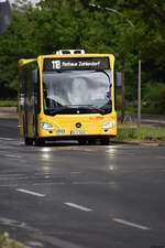 berliner-verkehrsbetriebe-bvg/906269/24052020--berlin---wannsee- 24.05.2020 | Berlin - Wannsee | B-V 1031 | Mercedes Benz Citaro II |
