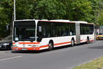 o-530-g-citaro-i/891797/21052020--berlin---wannsee- 21.05.2020 | Berlin - Wannsee | UL-SC 156 | Mercedes Benz Citaro I G |