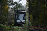 Nicht aus dem Urwald sondern vom Schlaatz kommt diese Siemens Combino 410  Amsterdam . Sie fhrt heute am 25.10.2014 zum Bahnhof Rehbrcke (Bauarbeiten). 