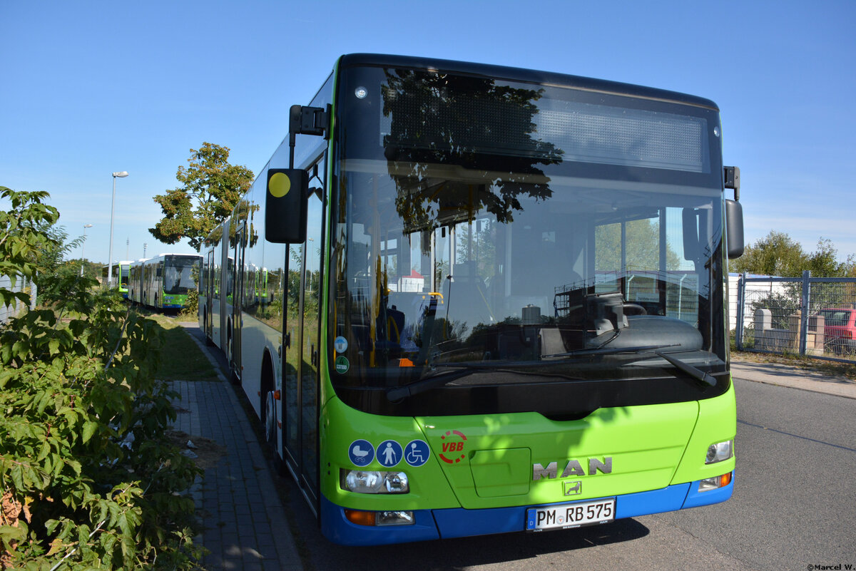 21.09.2019 | Stahnsdorf | Regiobus PM | PM-RB 575 | MAN Lion's City G |