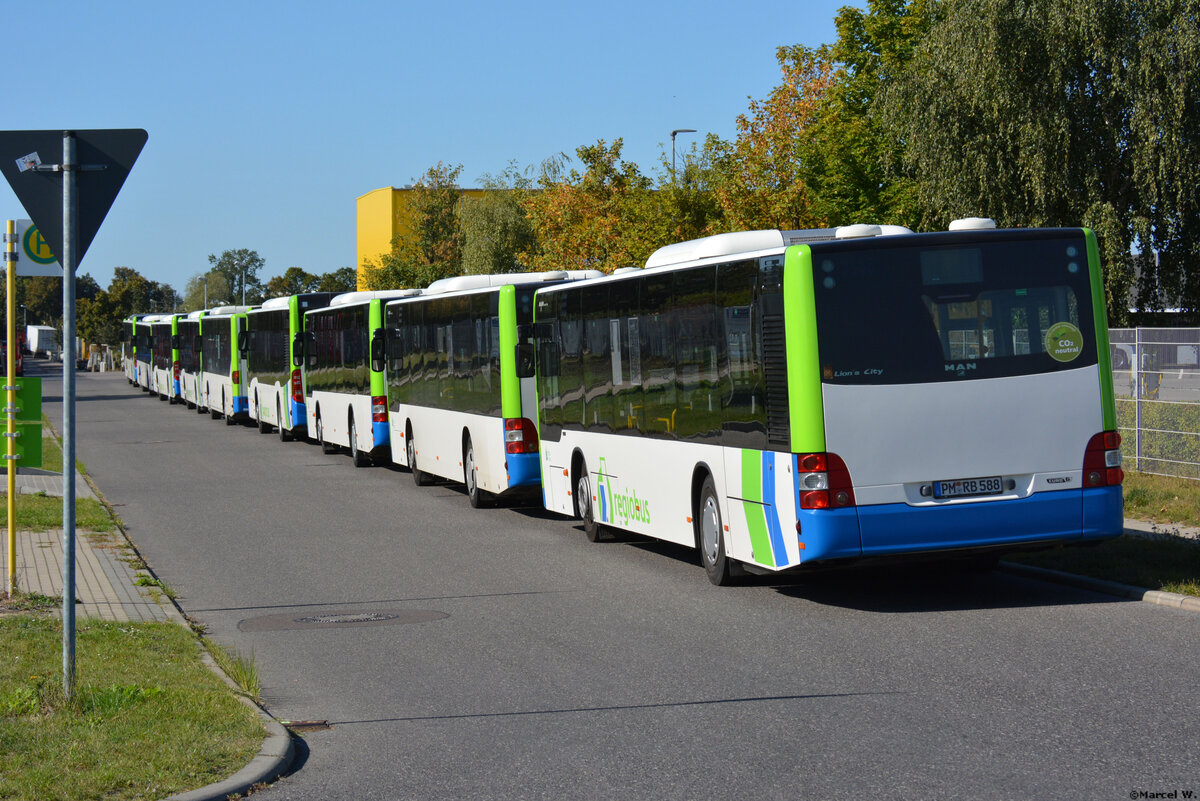 21.09.2019 | Stahnsdorf | Regiobus PM | PM-RB 588 | MAN Lion's City |