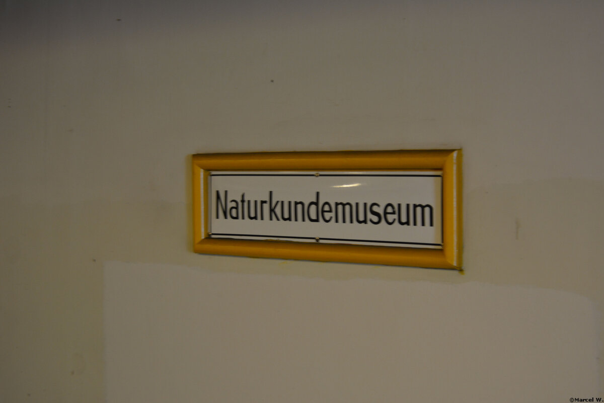 25.04.2019 | Berlin - Mitte | U-Bahnhof Naturkundemuseum |