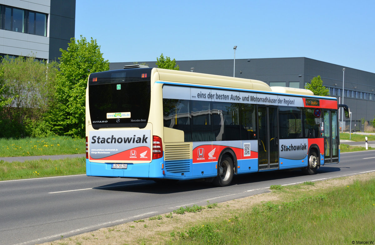 29.04.2018 | Brandenburg - Schönefeld (ILA) | Mercedes Benz Citaro I Facelift LE | Regionale Verkehrsgesellschaft Dahme-Spreewald | LDS-VG 250 |