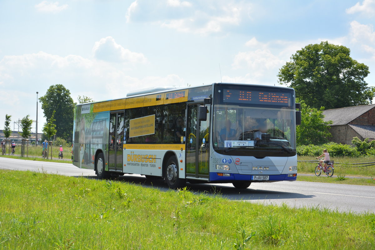 Am 04.06.2016 fährt P-AV 587 auf der ILA-Sonderlinie L zwischen S-Bahnhof Schichauweg und dem ILA-Gelände. Aufgenommen wurde ein MAN Lion's City der BVSG.