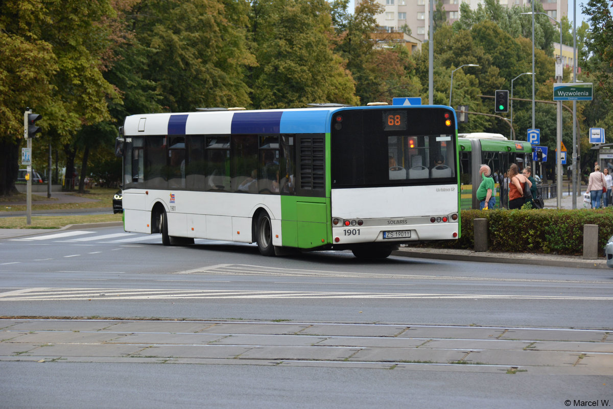 Am 14.08.2018 fuhr ZS-1901Y durch Stettin. Aufgenommen wurde ein Solaris Urbino 12.