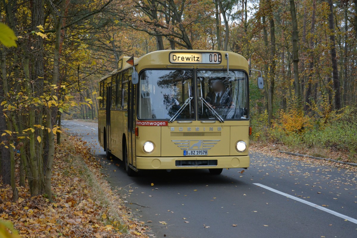 B-BZ 1957H (Büssing E2H) auf Sonderfahrt am 09.11.2014 auf dem Weg nach Drewitz-Dreilinden-Kleinmachnow. Aufgenommen Düppeler Forst. 