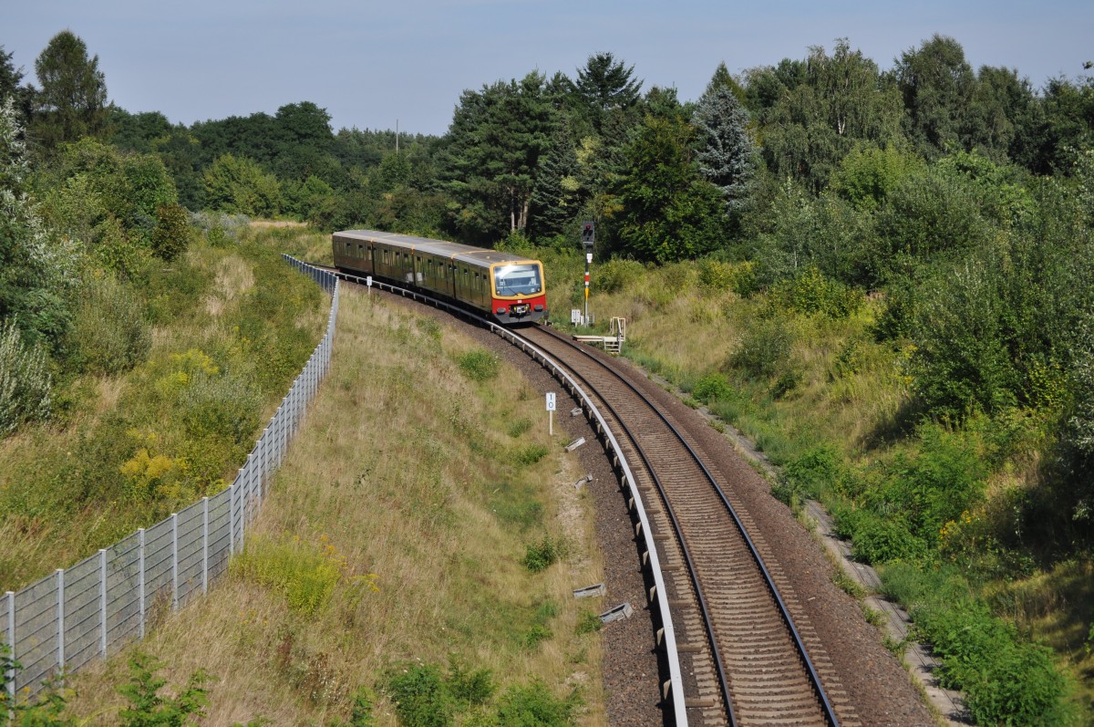 BR 481 der S-Bahn Berlin unterwegs auf der Linie S25 nach Teltow. Aufgenommen am 16.08.2013 kurz vor Teltow.