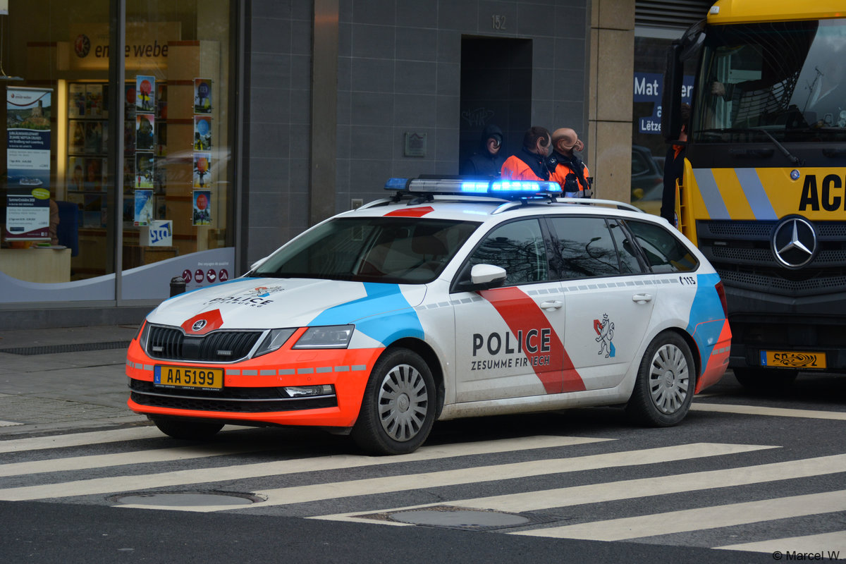 Dieser Skoda gehört der Polizei in Luxemburg. Aufgenommen am 03.02.2018.