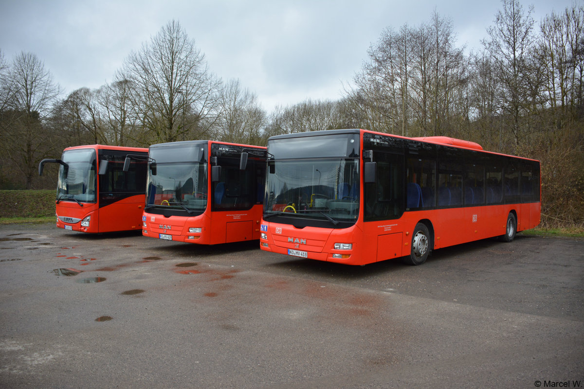 Hier stehen drei Busse der Deutschen Bahn. MZ-DB 4256 (IVECO Crossway) / KO-MV 409 und KO-MV 418 (MAN Lion's City Ü). Aufgenommen auf einen Parkplatz in Prüm. 