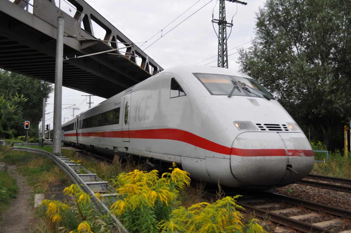 ICE 649 aus Hannover nach Berlin Ostbahnhof. Aufgenommen am 21.08.2013 zwischen Werder Havel und Potsdam Park Sanssouci.
