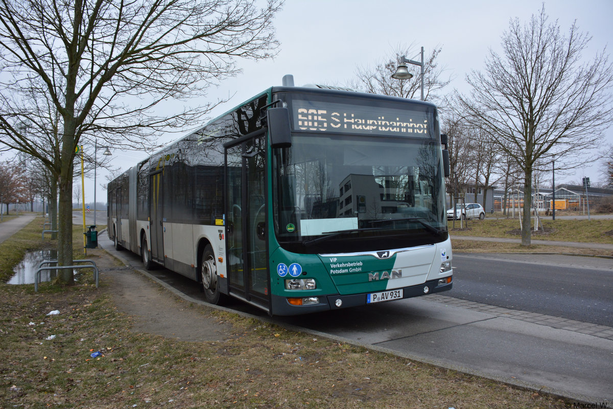 P-AV 931 fuhr am 10.03.2018 auf der Linie 605 zwischen Golm und Potsdam Hbf. Aufgenommen wurde ein MAN Lion's City. 