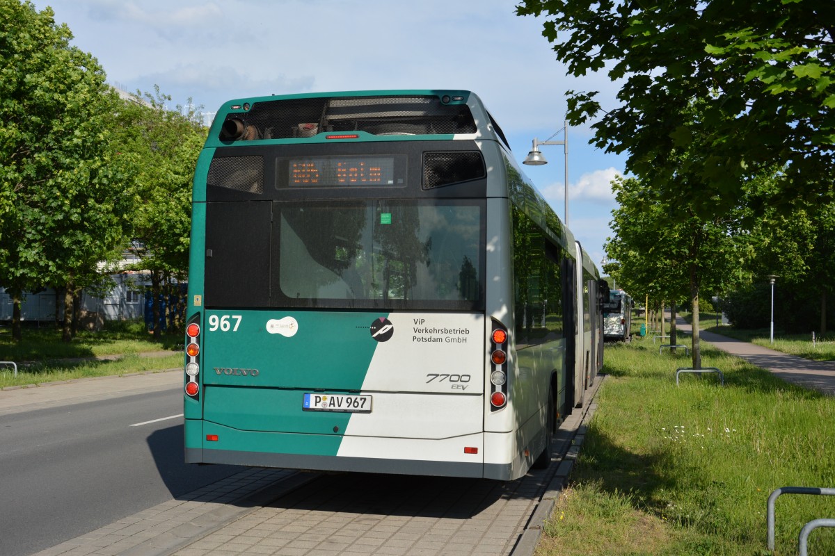 P-AV 967 auf der Linie 605 am 09.05.2014 Potsdam Golm.