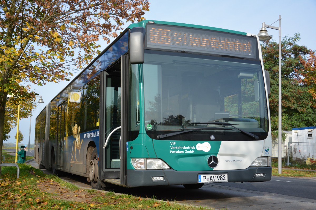 P-AV 982 auf der Linie 605 am 18.10.2014. Aufgenommen wurde Mercedes Benz O530 Facelift in Potsdam Golm.