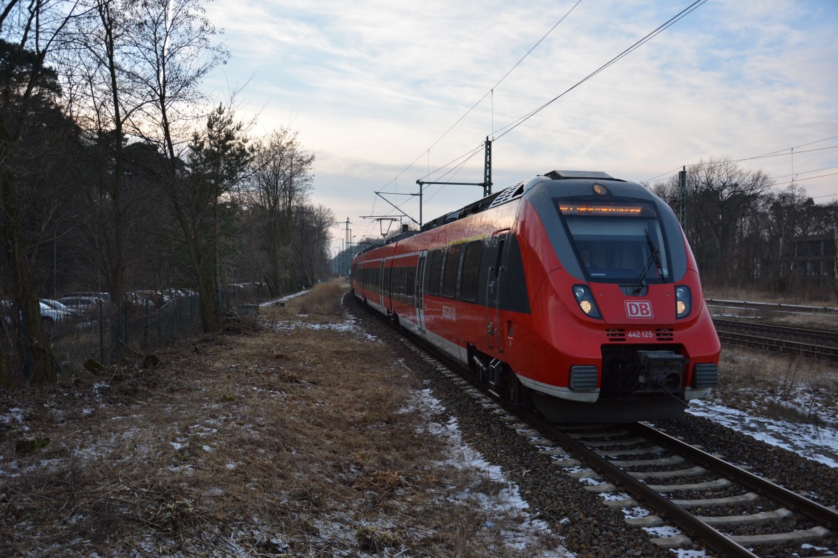 RB 18261 (442 125) als RB 21 zur Berliner Friedrichstraße. Aufgenommen am 05.02.2014 Potsdam-Griebnitzsee.
